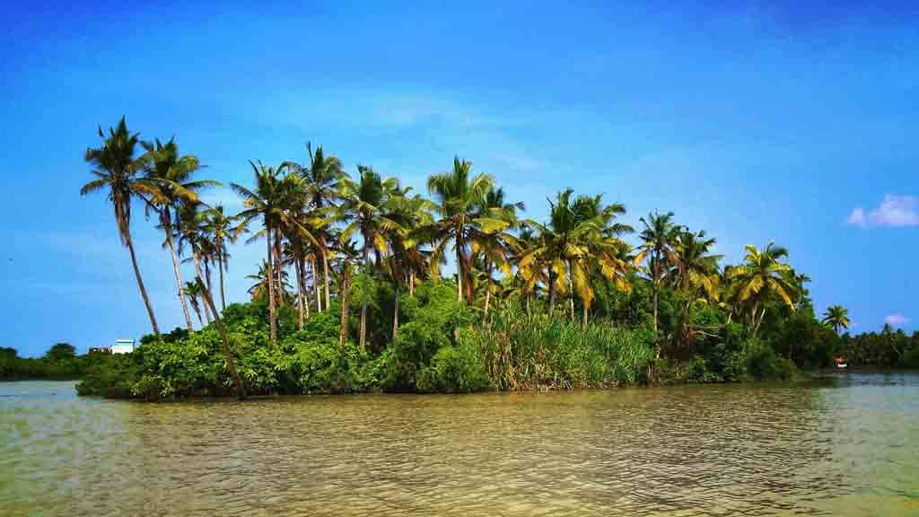 kerala-land-of-coconut-trees